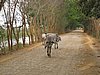 IMG_3060.JPG