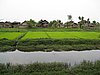 IMG_3064.JPG