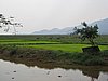IMG_3067.JPG