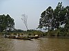 IMG_3074.JPG