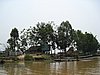 IMG_3075.JPG