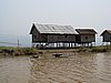 IMG_3079.JPG