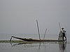 IMG_3083.JPG