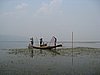 IMG_3084.JPG