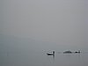 IMG_3087.JPG