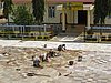IMG_3124.JPG
