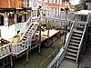 IMG_3131.JPG