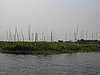 IMG_3135.JPG