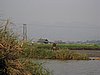 IMG_3139.JPG