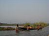 IMG_3143.JPG