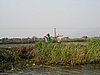 IMG_3146.JPG