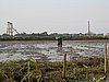 IMG_3147.JPG