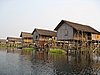IMG_3155.JPG