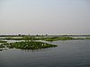 IMG_3159.JPG