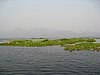 IMG_3160.JPG