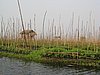 IMG_3162.JPG