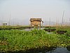 IMG_3164.JPG