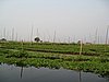 IMG_3169.JPG