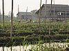 IMG_3171.JPG