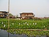 IMG_3175.JPG