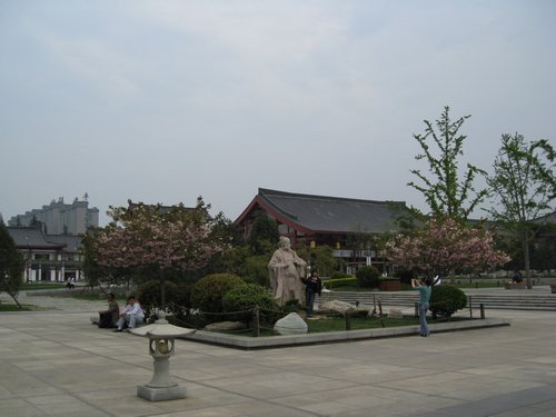 IMG_3368.JPG