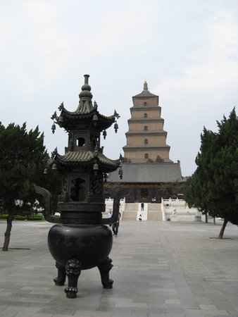IMG_3376.JPG