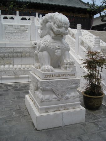 IMG_3380.JPG