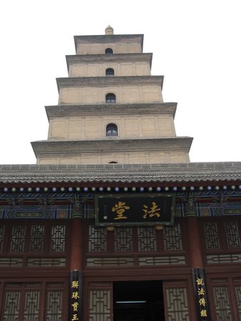 IMG_3386.JPG