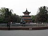 IMG_3317.JPG