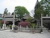 IMG_3346.JPG
