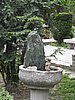 IMG_3352.JPG