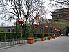 IMG_3362.JPG