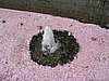 IMG_3371.JPG