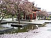 IMG_3372.JPG