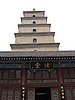 IMG_3386.JPG