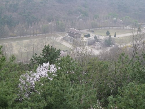IMG_3449.JPG