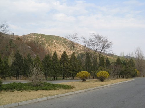 IMG_3470.JPG