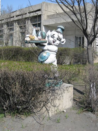 IMG_3559.JPG