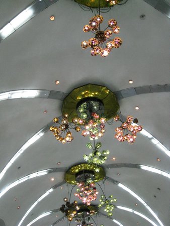IMG_3579.JPG