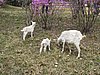 IMG_3502.JPG