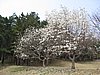 IMG_3503.JPG