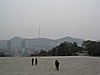 IMG_3517.JPG