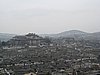 IMG_3522.JPG