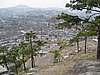 IMG_3523.JPG
