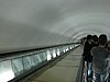 IMG_3565.JPG