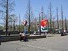 IMG_3585.JPG