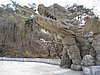 IMG_3595.JPG