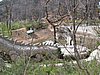 IMG_3596.JPG