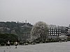 IMG_3676.JPG