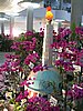 IMG_3686.JPG